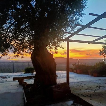 Il Colle Degli Ulivi 호텔 San Calogero 외부 사진