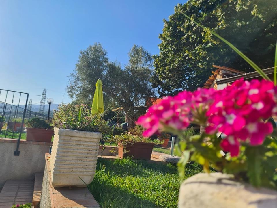 Il Colle Degli Ulivi 호텔 San Calogero 외부 사진