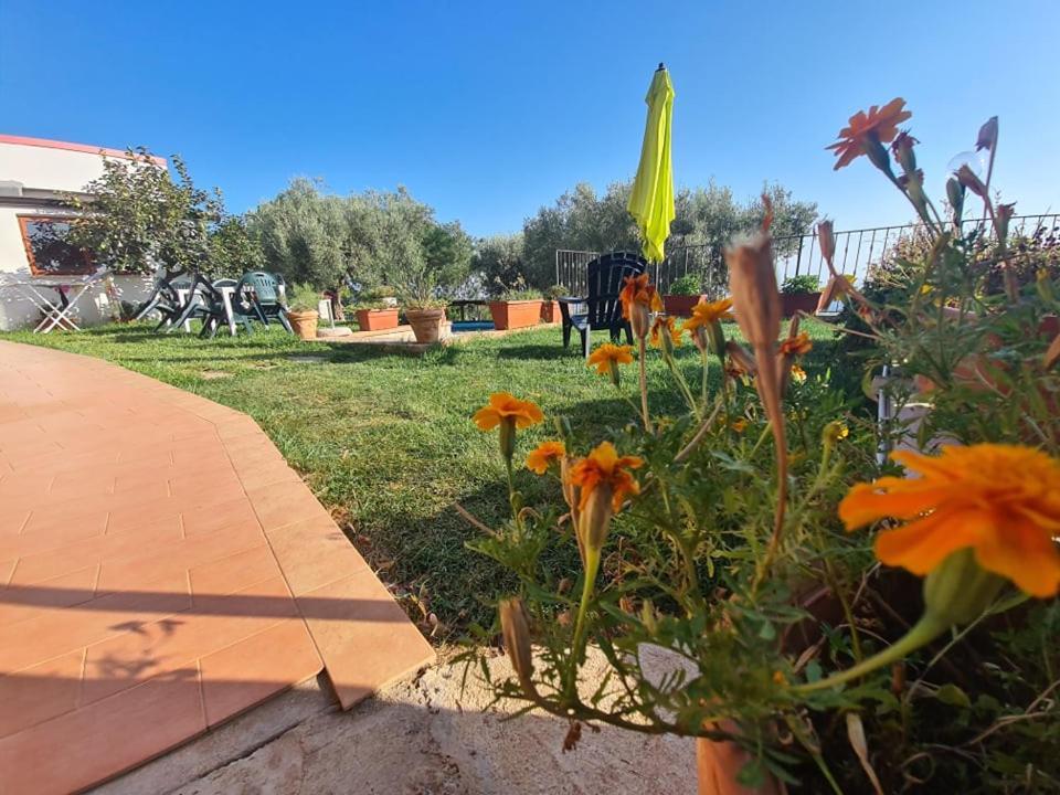 Il Colle Degli Ulivi 호텔 San Calogero 외부 사진