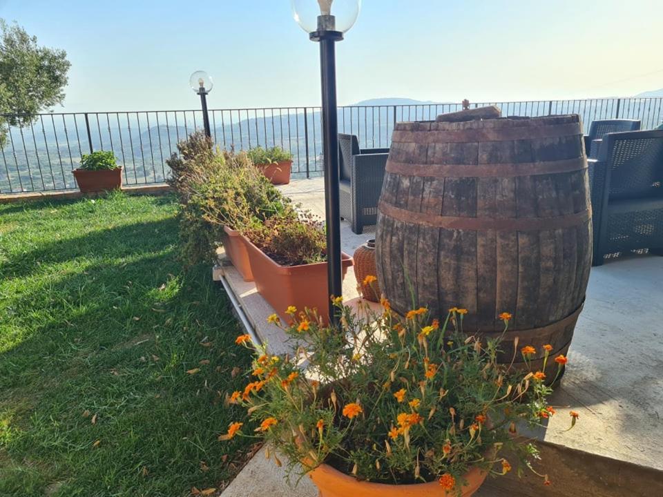 Il Colle Degli Ulivi 호텔 San Calogero 외부 사진