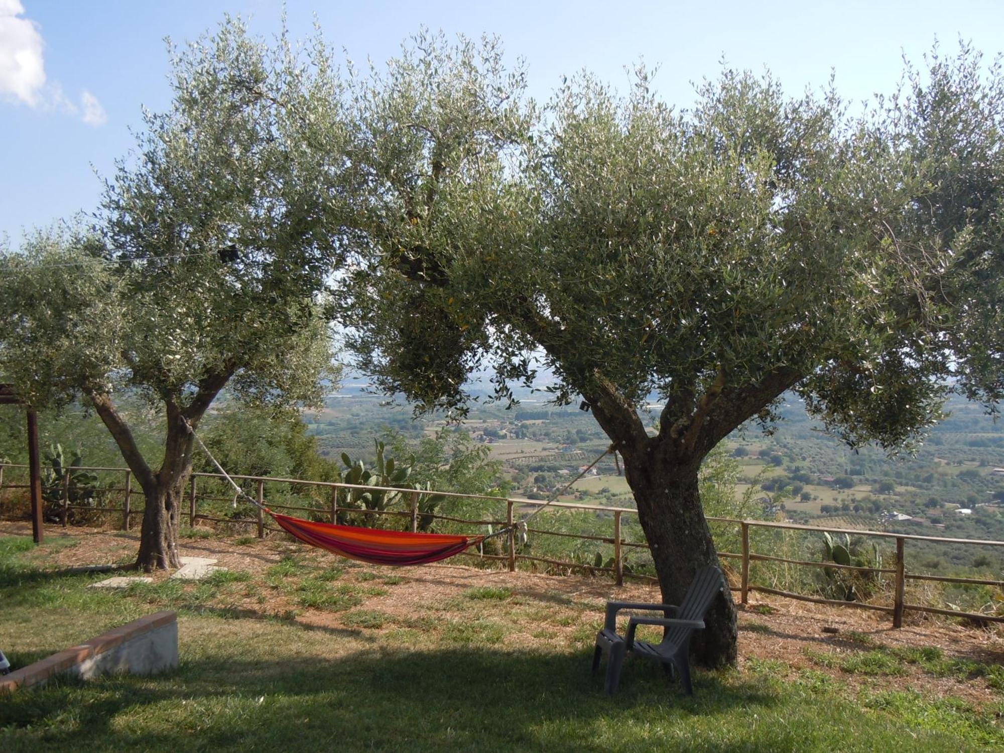 Il Colle Degli Ulivi 호텔 San Calogero 외부 사진